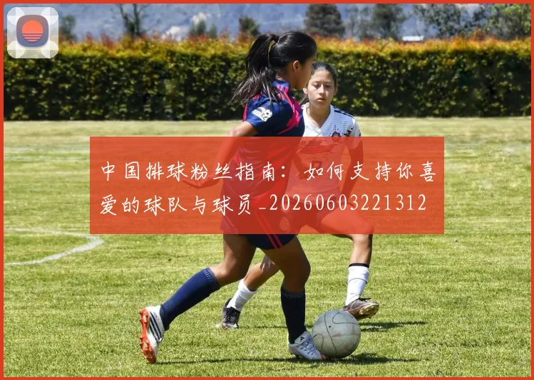 中国排球粉丝指南:如何支持你喜爱的球队与球员_20260603221312