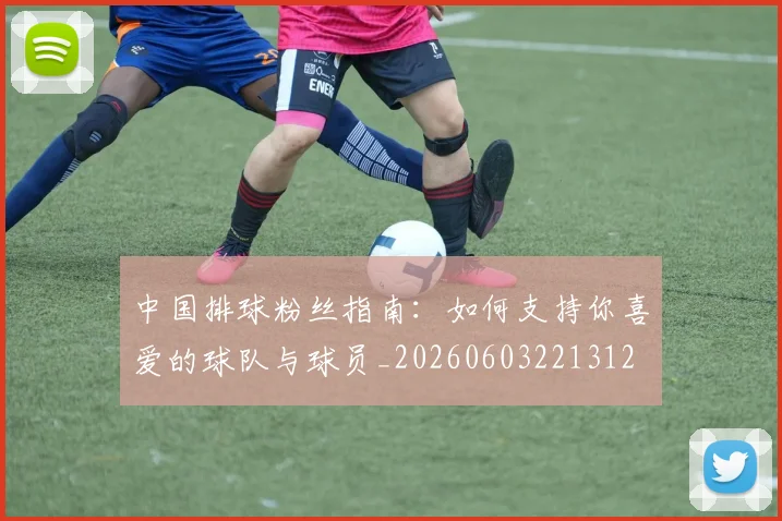 中国排球粉丝指南：如何支持你喜爱的球队与球员_20260603221312